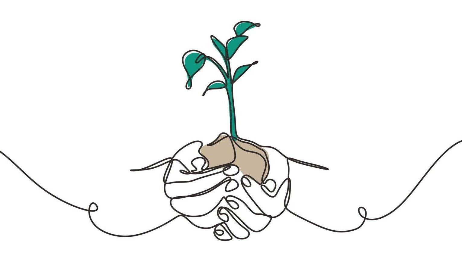 Trauma, post-traumatic growth, Rewire, PBS, Continuous one line drawing of plant in hand. Hands holding nature sign and symbol vector illustration. Minimalism design and simplicity sketch hand drawn.