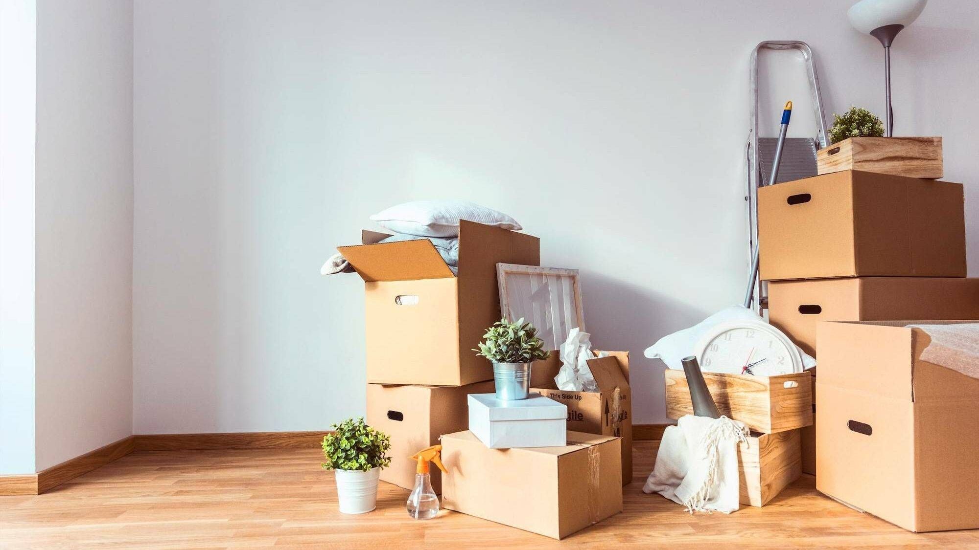 Photograph of moving boxes, household items, and cleaning supplies on the wooden floor of an apartment. Moving, moved, Rewire, PBS
